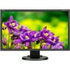 NEC Display MultiSync E243WMI-BK 24" LED LCD Monitor - 16:9 - 5 ms - Adjustable Display Angle - 1920 x 1080 - 16.7 Million Colors - 250 Nit - 1,000:1 - Full HD - Speakers - DVI - VGA - DisplayPort - 1
