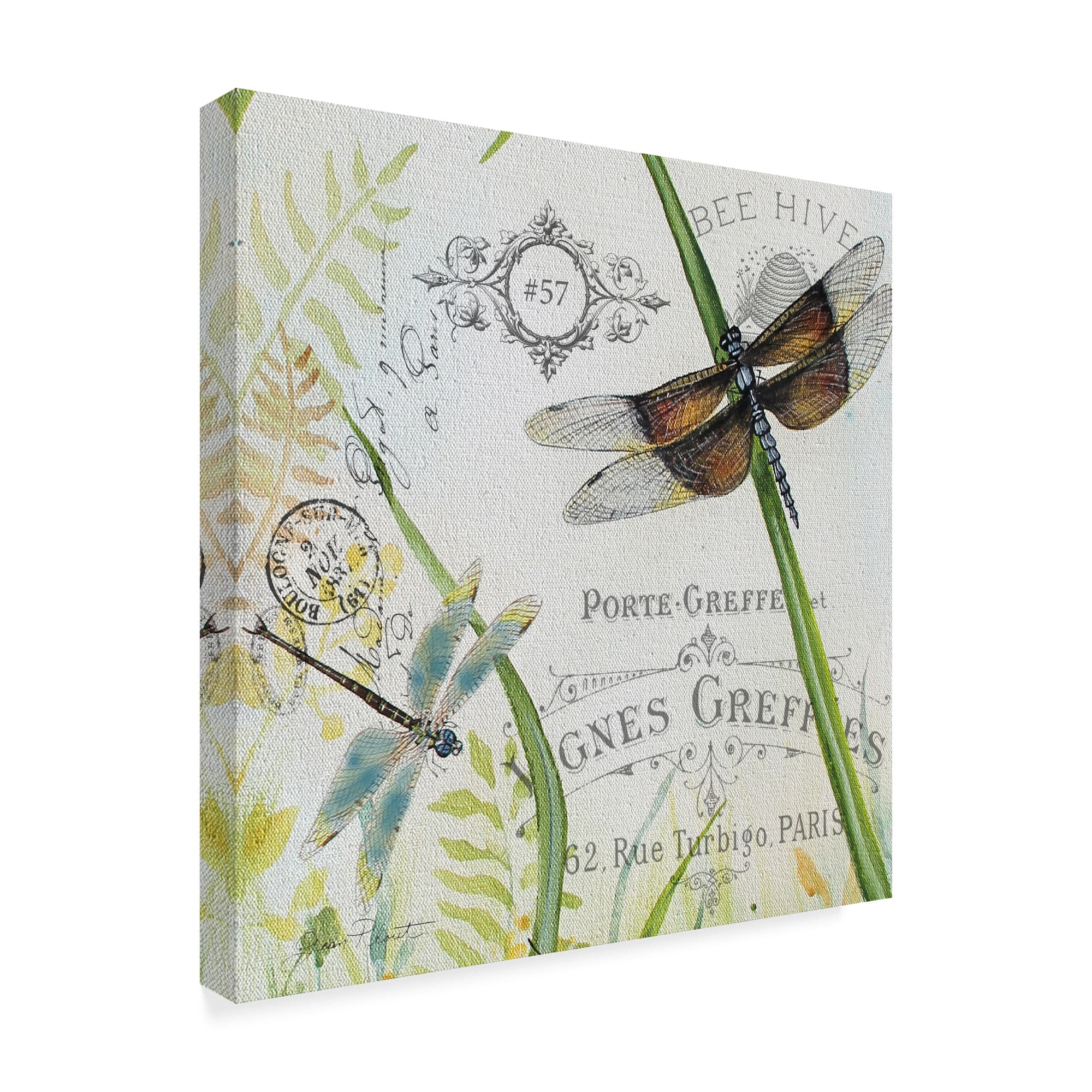 Trademark Fine Art 'Botanical Beauties 3' Canvas Art by Jean Plout