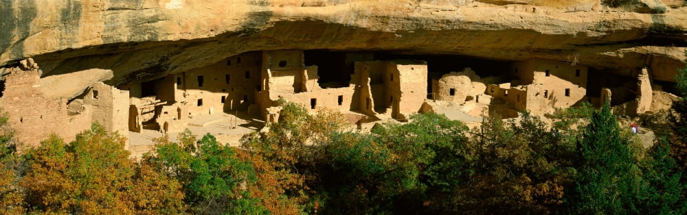 Spruce Tree House M
