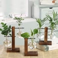 thumbnail image 2 of Vintage Hydroponic Plant Vases Transparent Flower Pot Wooden Frame Glass Tabletop Plants Vase for Home Bonsai Decor, 2 of 7
