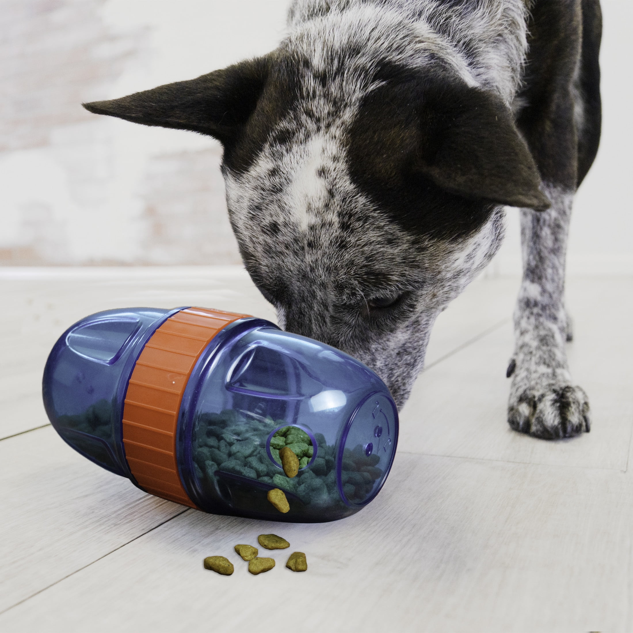 KONG Detachable 1-Piece with Treat Dispenser & Slow Feeder for Average Chewers, Multicolor Pod Large (1 Pack)
