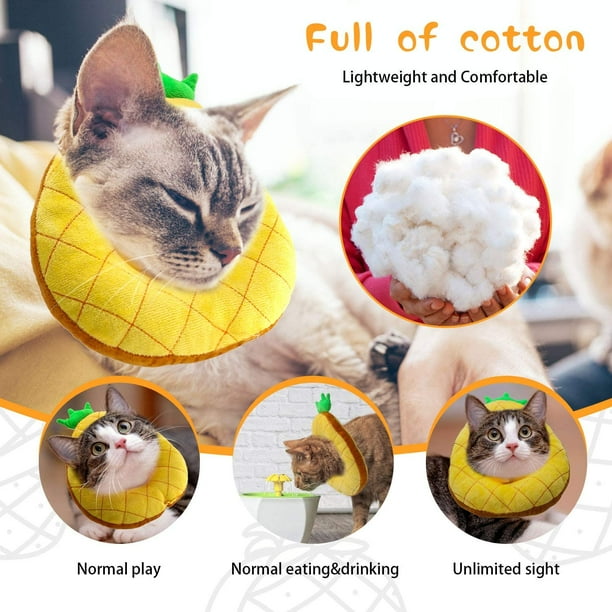 Neck cones for clearance cats