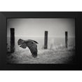 thumbnail image 2 of Droste, Holger 18x13 Black Modern Framed Museum Art Print Titled - The Day Of The Raven, 2 of 5