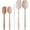Macaron, variant on Astercook 5-Piece Silicone Spatula Set, 560°F Heat Resistant Rubber Spatulas with Stainless Steel Core, Nonstick Safe & Dishwasher Safe Baking Spatula Set for Cooking & Mixing, Morandi Earth Colors