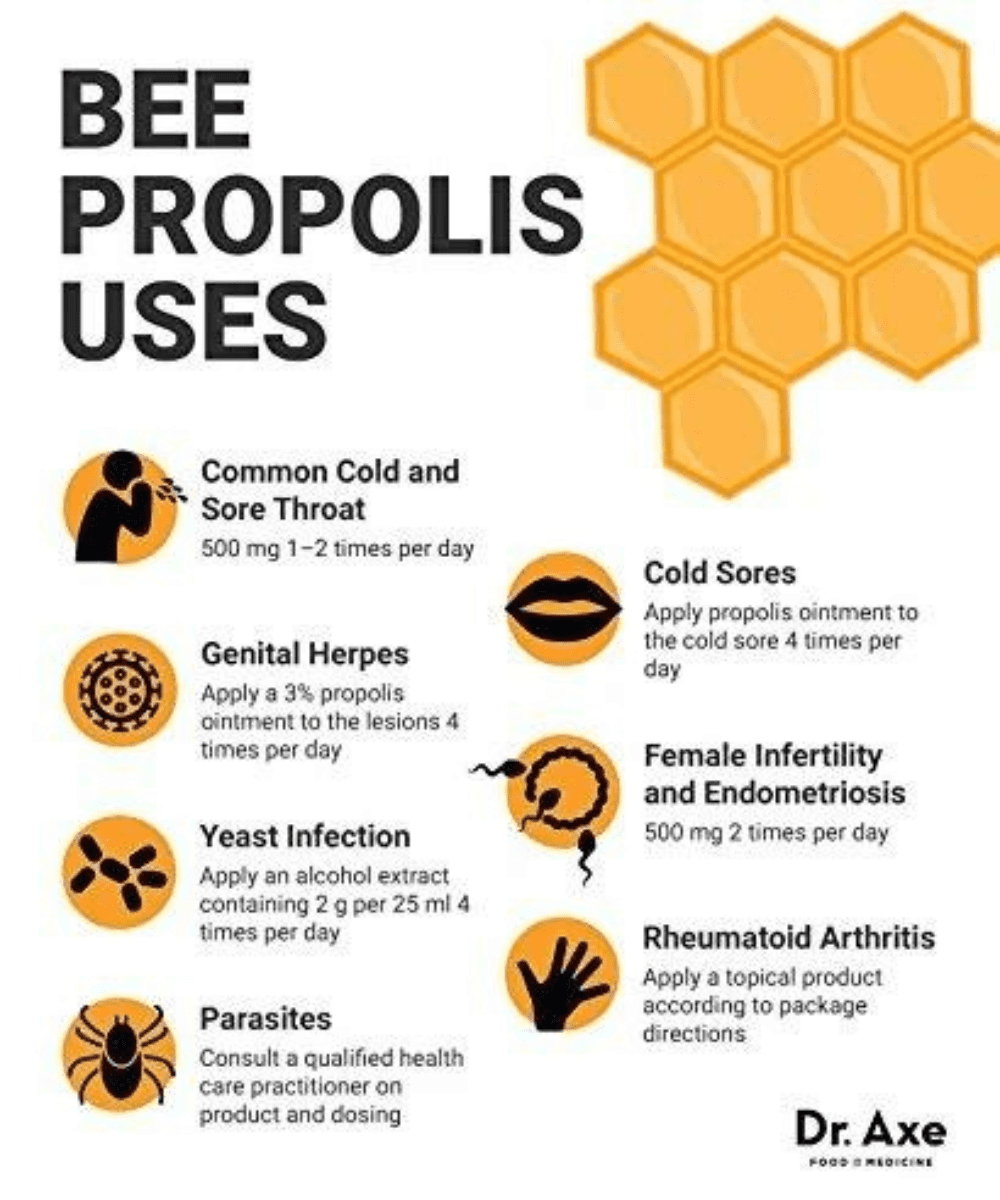 Authentic Mountain Sidr Honey with Propolis – Jujube Honey, Supports Mental Health, Memory and Cognition, 100% Natural, Raw Liquid Honey, Gluten Free (250g/ 8.8 oz)