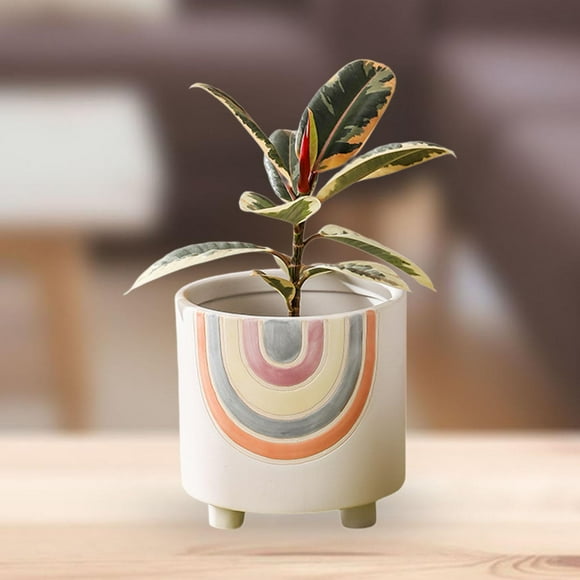 Colaxi Flower Pots Flowerpot Art Cute Indoor Outdoor Table Centerpiece Gift Flower Vase Pot Plant Nursery Pot Lightweight Bonsai Pot Large