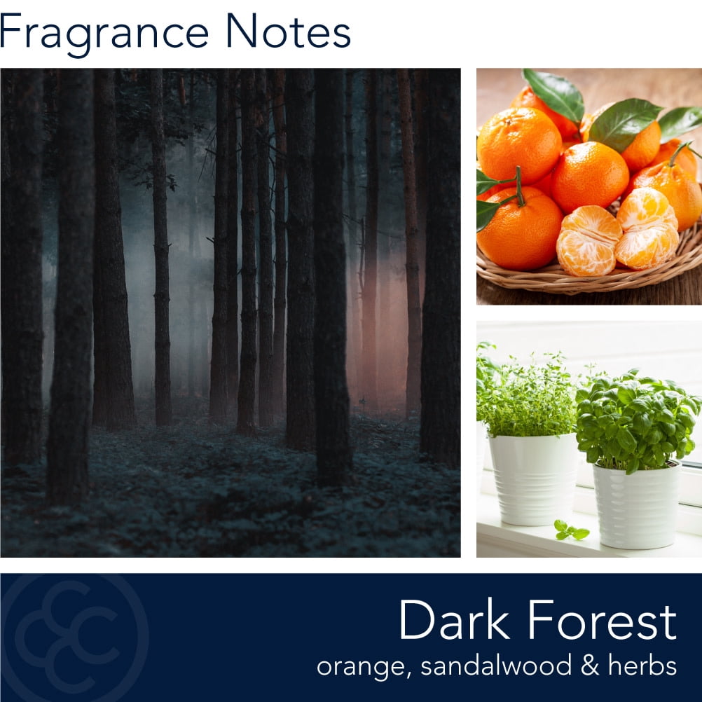 Manly Indulgence Dark Forest 20 oz Scented Wood Wick Jar Candle
