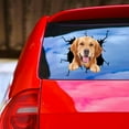 thumbnail image 3 of TIMIFIS Stickers Car Sticker Window Sticker Pet Lover Sticker Cars Crack Decal Walls Laptops Halloween Decorations - Fall, 3 of 3