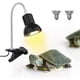 thumbnail image 5 of Lámpara de calor para tortugas, bombilla calefactora para reptiles UVA UVB de 25 W E27, lámpara halógena de espectro completo para acuarios de reptiles, lagartos y tortugas, 5 of 5