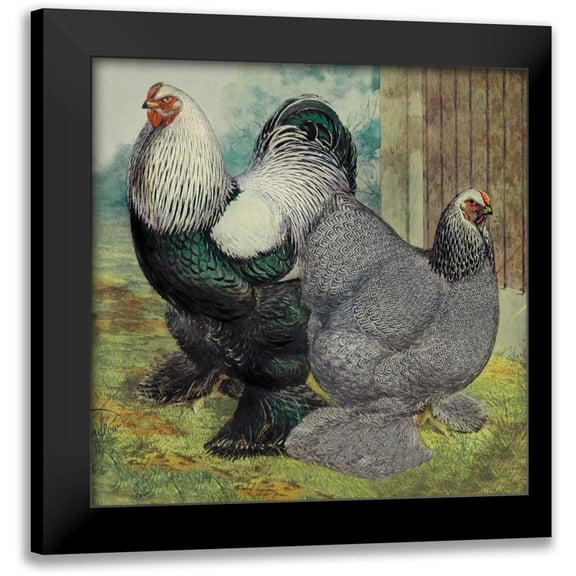 Wright, Lewis 12x12 Black Modern Framed Museum Art Print Titled - Chickens: Dark Brahmas
