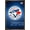 Bronze Framed Version, variant on MLB Toronto Blue Jays - Logo 16 Wall Poster with Push Pins, 14.725" x 22.375"