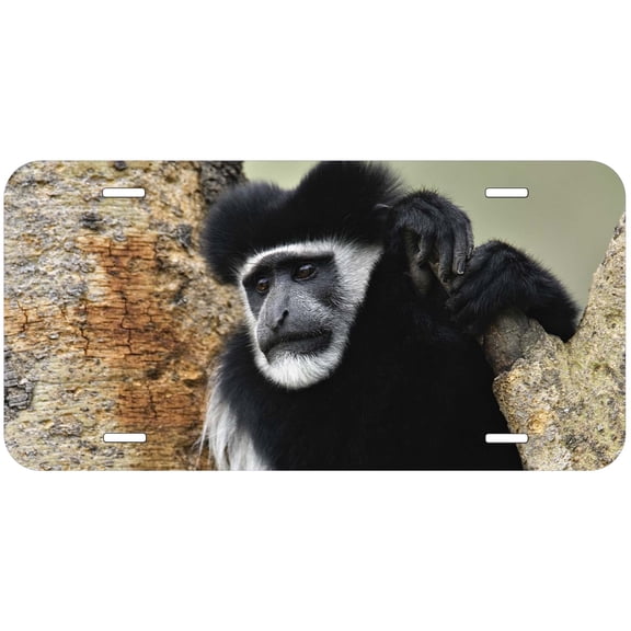 Monkey TAG35 Novelty Car Auto License Plate