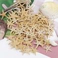 thumbnail image 1 of AMERTEER 1 Boîte Étoile de Mer Naturelle Mélangée Réutilisable Étoile de Mer Blanche Réaliste pour Fête style 50 Taille Unique, 1 of 13