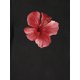 thumbnail image 3 of INAWLY Women's Floral Print Round Neck Short Sleeve Casual T-Shirt, Summer Graphic Tees Women Tops, 3 of 8