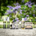 thumbnail image 6 of Plantlife Herbal Insect Body Spray | DEET-Free Outdoor Spray with Essential Oils | Plant-Derived | 4 fl oz, 6 of 6