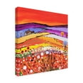 thumbnail image 2 of Trademark Fine Art 'The Cottage On The Hill' Canvas Art by Caroline Duncan ART, 2 of 3