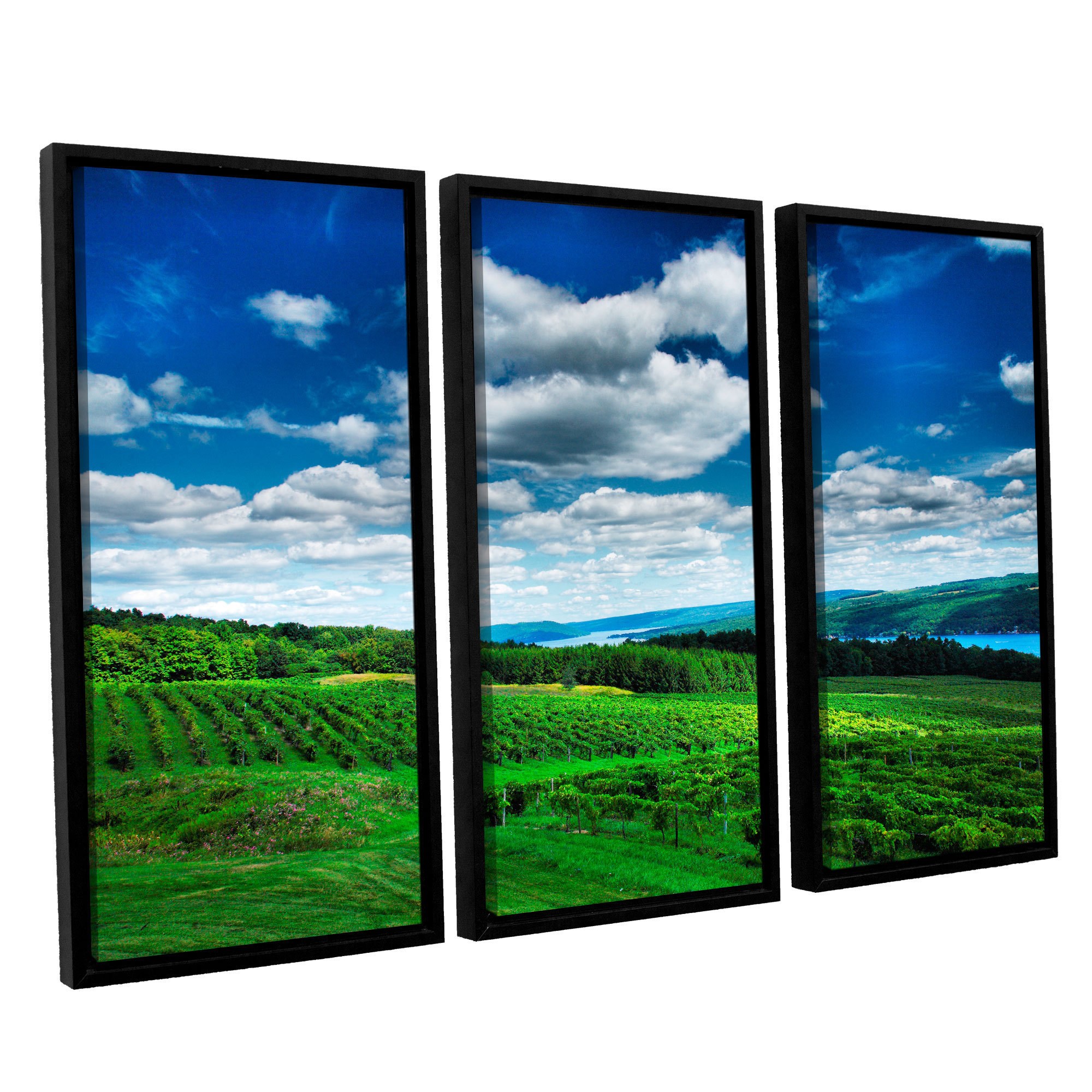 ArtWall Steve Ainsworth "Vineyard And Lake" 3-Piece Floater-framed Canvas Set