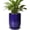 Blue, variant on 10 Inch Black Ceramic Planter with Drainage Hole – Large Round Flower Pot for Snake Plants, Monstera, Indoor Outdoor