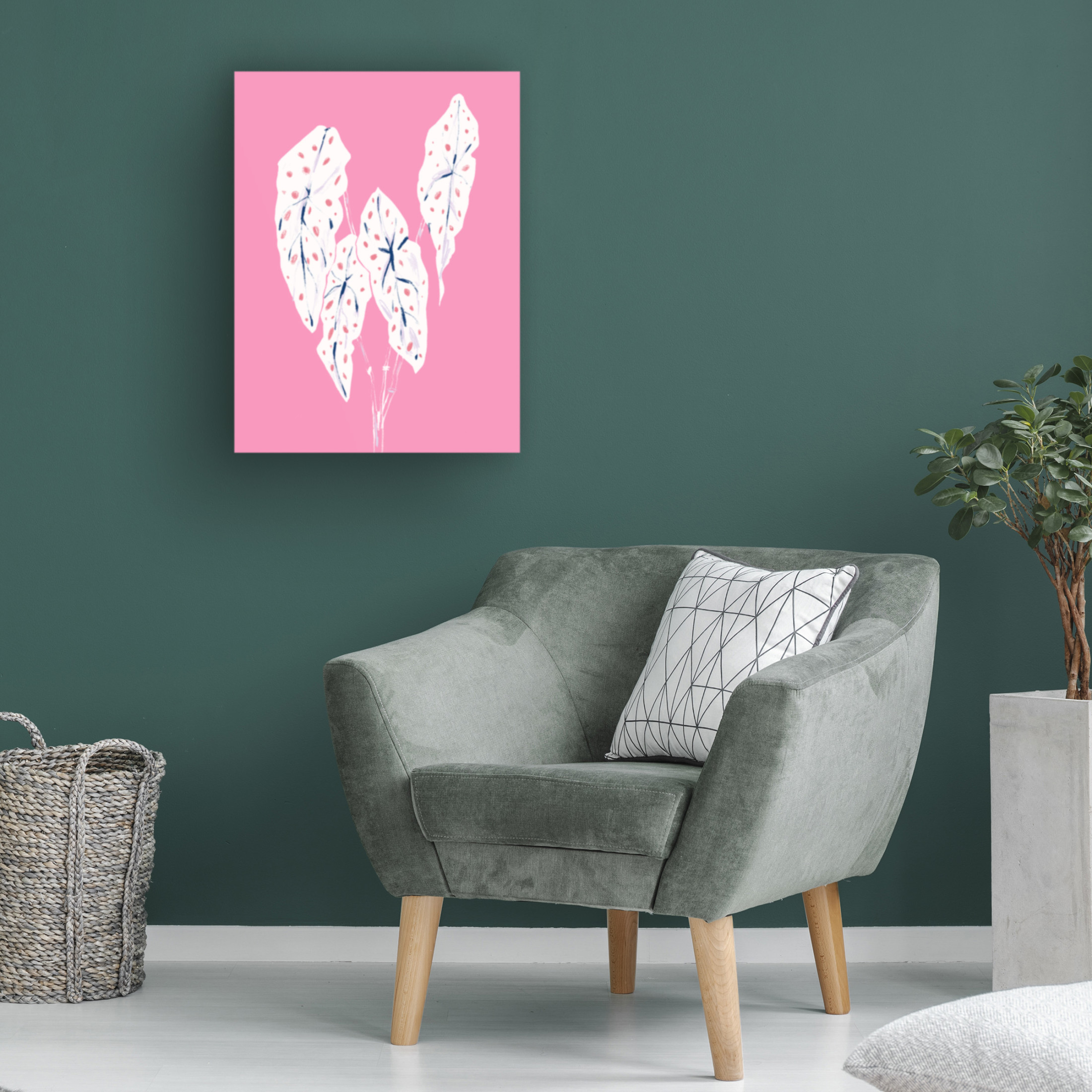 Trademark Fine Art Francesco Gulina Begonia Maculata Pink Canvas Wall Art