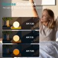 thumbnail image 5 of 2025 Latest Model Sunrise Alarm Clock White Noise Sound Machine with 22 Soothing Sounds_Perfect Gift, 5 of 5