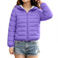 thumbnail image 5 of CPNG Girls and Boys Hooded Lightweight Puffer Jacket Solid Color Zip Up Long Sleeve Padded Coat Winter Casual Quilted Outerwear, 5 of 8