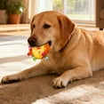 thumbnail image 3 of Interactive Squeaky Rattle Pet Toy High Elastic Rolling Design with Straps for Puppy and Training, 3 of 4