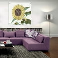 thumbnail image 6 of Epic Art 'Floral Study 3' by Stellar Design Studio, Acrylic Glass Wall Art, 36"x36", 6 of 7