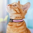 thumbnail image 5 of Tvtnvo Led Dog Collar Light Leash Usb Rechargeable Solar Powered Safety Visibility Multiple Lighting Modes Adjustable Long Lasting Waterproof Design for Night Walks and Training Pink 15.7-19.7in, 5 of 5