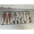 thumbnail image 2 of Anatomy Guide, 2 of 5