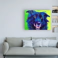 thumbnail image 3 of Trademark Fine Art 'Border Collie Viktor' Canvas Art by DawgArt, 3 of 3