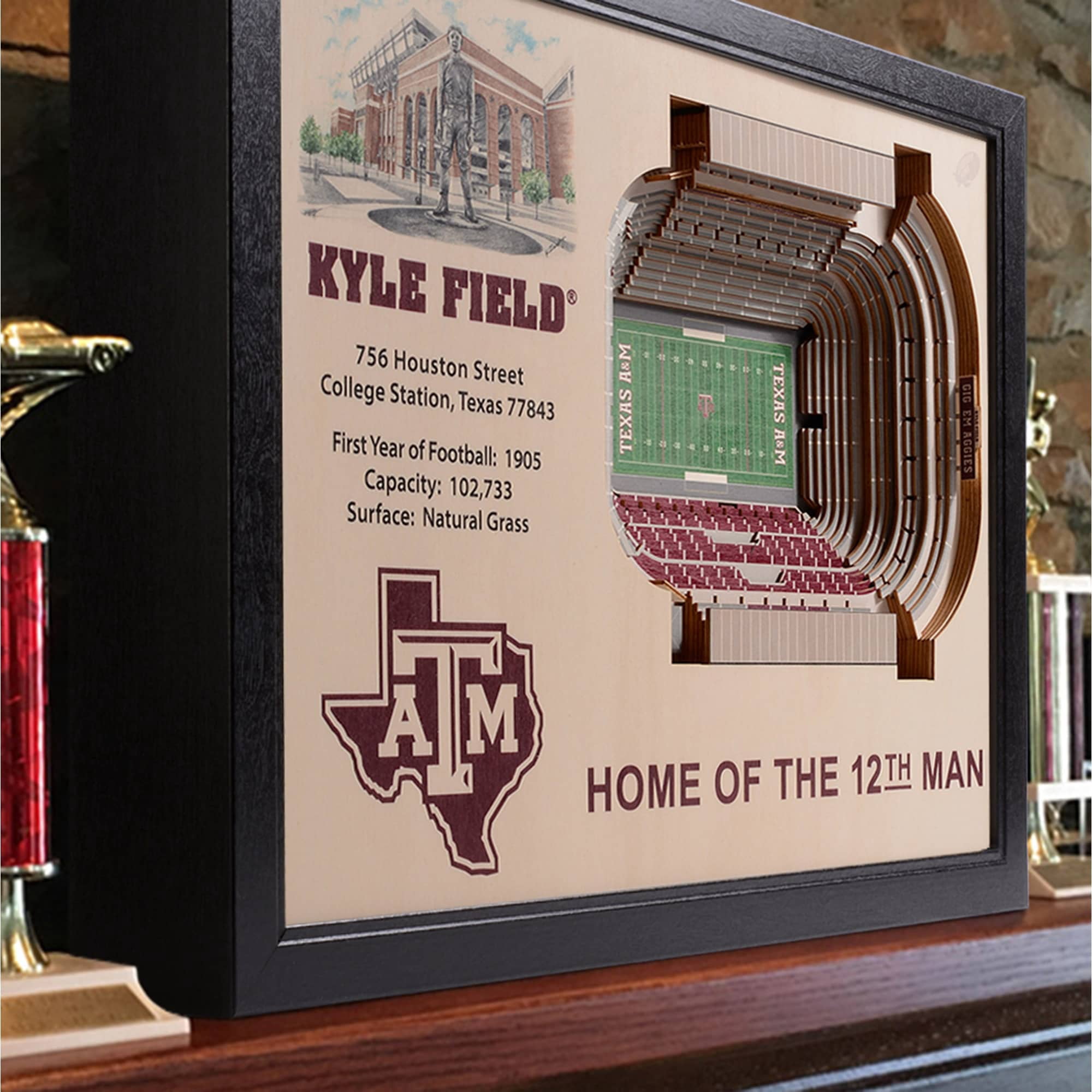 IDNA Texas A&M Aggies 25.5" x 19.5" Kyle Field Stadium Views Wall Art