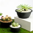 thumbnail image 4 of Toystoory Maceta para suculentas, bandeja para flores, diseño hueco, borde liso, accesorio DIY, platillo para plantas, decoraciones para interiores y Jardín y Patio Negro Toystoory HA080237-03B, 4 of 6