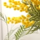 thumbnail image 4 of Rama de seda de mimosa artificial - Pack de 5 flores sintéticas amarillas y blancas para decoración del hogar, centros de mesa de bodas, arreglos para el salón, 4 of 7