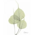 thumbnail image 3 of Koetsier, Albert 12x14 Black Modern Framed Museum Art Print Titled - Bo Tree in Pale Green, 3 of 5