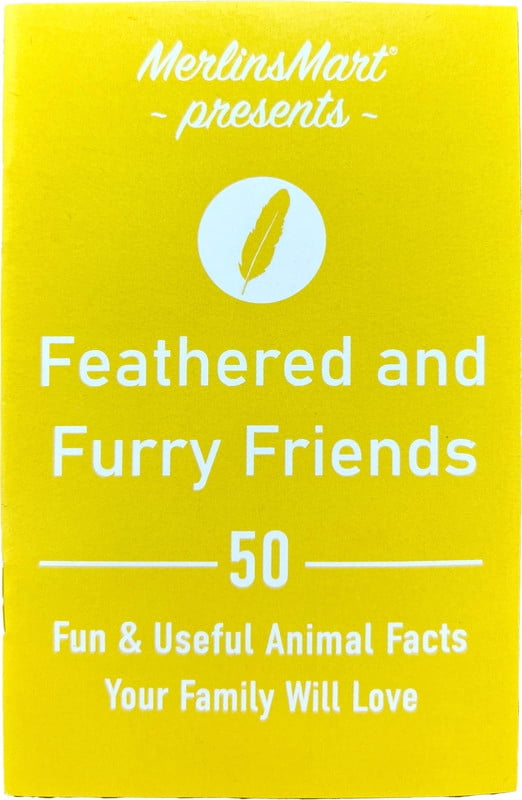 Hazel Hamster Tasty Mix Food (2 Lbs) & Lovelies Treats (4.2 Ounces) - Tiny Friends Farm | MerlinsMart Zine + Timothy Twists