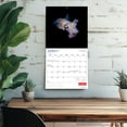 thumbnail image 5 of Canadian Geographic Marine Life | 2026 12x24" (Hanging) Square Wall Calendar, 5 of 9