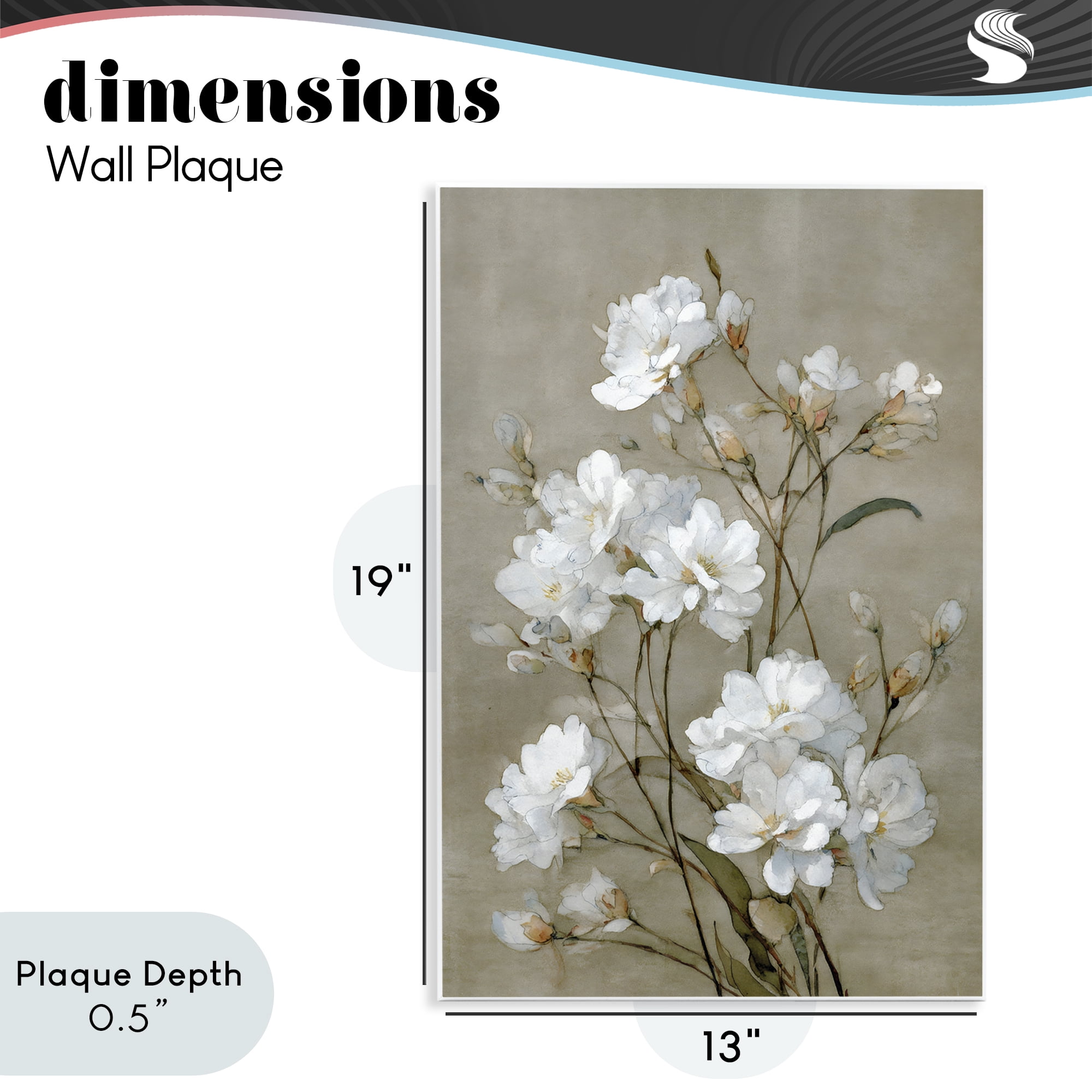 Stupell Industries Aged White Botanical Study Wall Plaque Art, design by Petal Prints Design