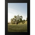 thumbnail image 2 of Blaustein, Alan 17x24 Black Modern Framed Museum Art Print Titled - Oak Tree - 87, 2 of 5