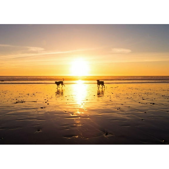 Gone But Never Absent Pet Bereavement/Sympathy Greeting Card