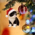 thumbnail image 6 of Aoyunhp Black Cat Ornaments for Christmas Tree,Christmas Ornaments,Funny Cat Ornaments for Christmas Tree,Christmas Decor,Acrylic Santa Hat Cats Meme Hanging Decor,Christmas Tree Ornaments 2"X3", 6 of 7
