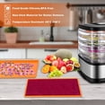 thumbnail image 2 of Protoiya 4 Silicone Dehydrator Sheets,Dehydrator Mats with Edge for Fruit Leather Liquid Fruits Meat Vegetables Herbs,Non-stick Dehydrator Trays with Silicone Scraper Compatible, 2 of 11