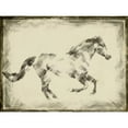 thumbnail image 2 of Harper, Ethan 18x15 Gold Ornate Wood Framed with Double Matting Museum Art Print Titled - Equine Study I, 2 of 4