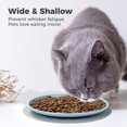 thumbnail image 6 of Ceramic Cat Bowls 3 Packs, Whisker Stress Free Cat Feeding Plates with 3 Non-Slip Mats, Wide & Shallow Cat Food Dish to Relieve Whisker Fatigue, for Cats, Kittens, Puppies, Dishwasher Safe, 6 of 7