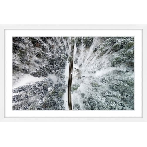 Marmont Hill "Frozen Trees" by Karolis Janulis Framed Painting Print