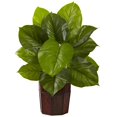 thumbnail image 1 of Grand Philodendron avec Jardinière Décorative (Touche Réelle), 1 of 2