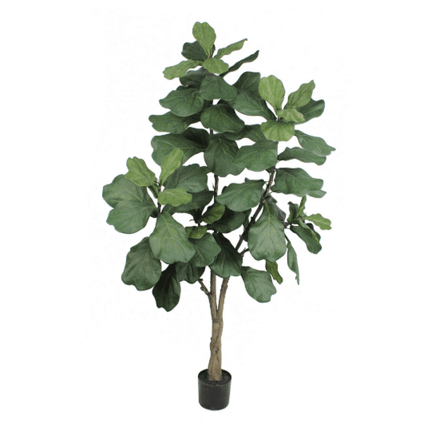 6ft Artificial Fiddle Leaf Fig Tree Realistic and Stunning