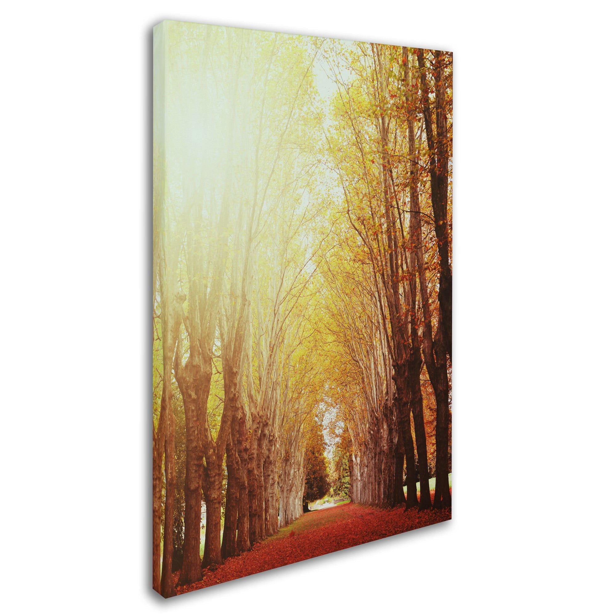 Trademark Fine Art "Fountains of Light" Canvas Art by Philippe Sainte-Laudy