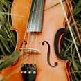thumbnail image 2 of Violin C-clip Protector Violin Waist Protector Violin Waist Side Plate Protector Violin Rubber Protector, 2 of 5