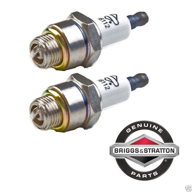 2 Pack Champion Spark Plug RJ19LM
