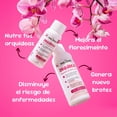 thumbnail image 3 of Enraizante Concentrado Para Orquídeas The Real Green 60 Ml, 3 of 9